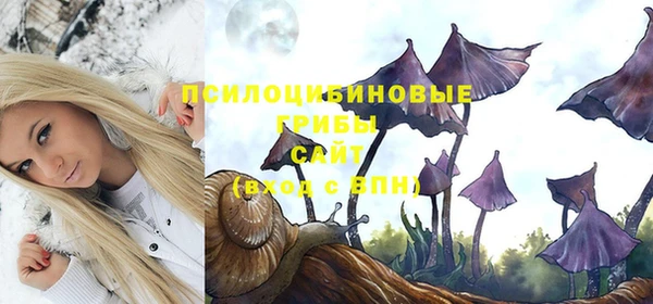альфа пвп Козельск