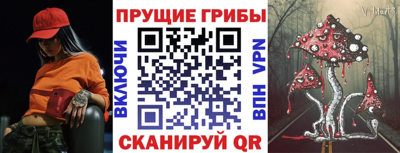 Купить  Богучар  Галлюциногенные грибы GOLDEN TEACHER 